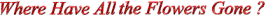 whatfg.gif (2572 bytes)
