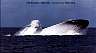 ssn695emgblow.jpg