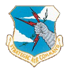 SAC patch.gif