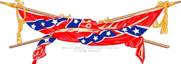 IMAGE of Rebel Flag