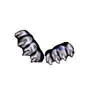 devildog.gif (28524 bytes)