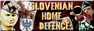 Slovenian Axis Forces 1941-1945
