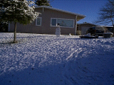 snow.gif 