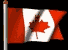 Canadian_Flag