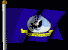 USN_Flag