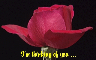 Rose #1