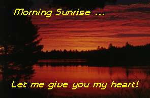 Card #7