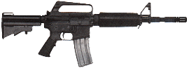 AR 15