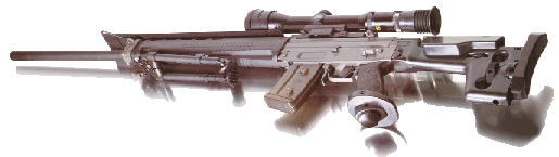 SIG SG 550 Sniper