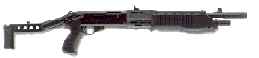SPAS-12