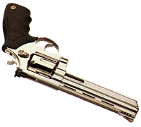 Taurus 44
