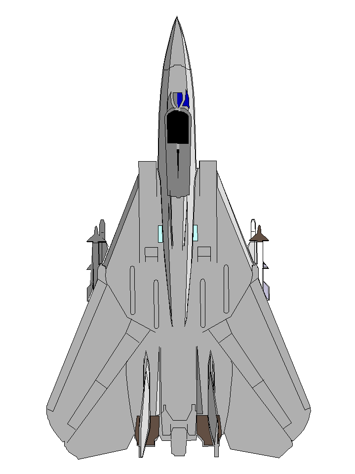 F-14 Topview