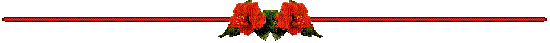 Guam's Red Hibiscus Flowers separator bar designed by F.M. Rivera