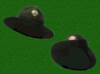Drill SGT Hats
