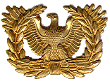eaglwht.gif (14881 bytes)