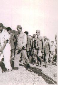 Japanese POWs - Luzon, PI - 1945 