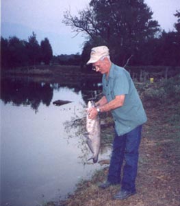 catfish.jpg (58459 bytes)