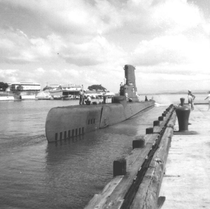 choppergitmo2.JPG (52899 bytes)