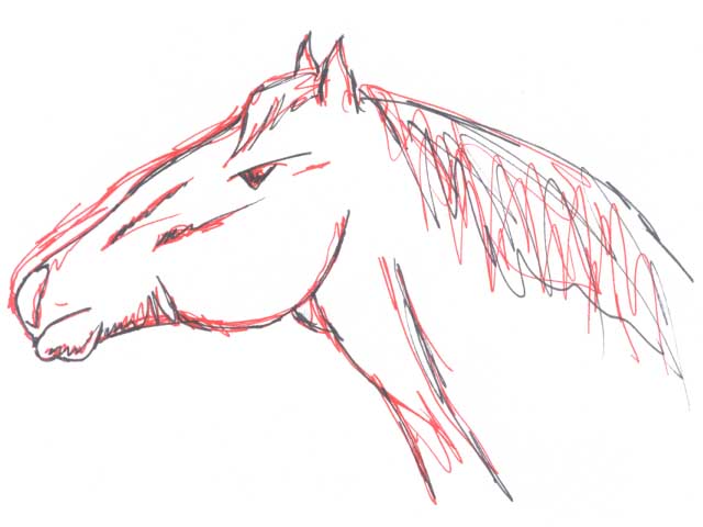 Cavallo