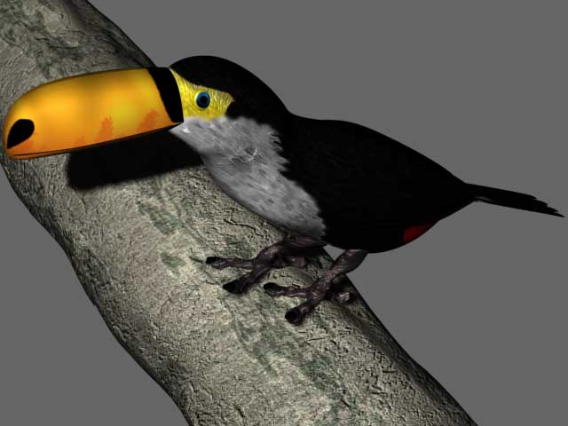 Toco