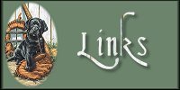 Links