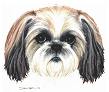 IMAGE COMPLIMENTS OF PETS IN PASTEL