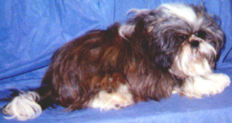 KUZZENS TUFFY TO TUFF