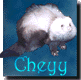 Cheyy