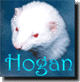 Hogan