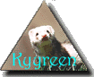 Kyyreen