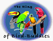 Ring of Bird-Buddies