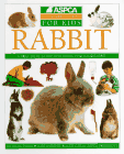rabbit book