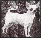 Beni