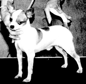 Chico