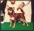 Chula