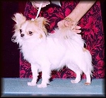 DeeDee