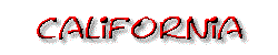 State Banner