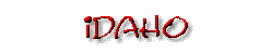 State Banner
