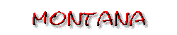 State Banner