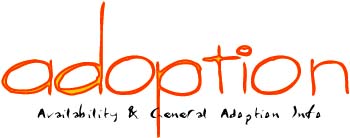 Adoption: Availability & General Info