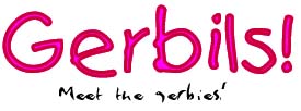 Meet The Gerbils!