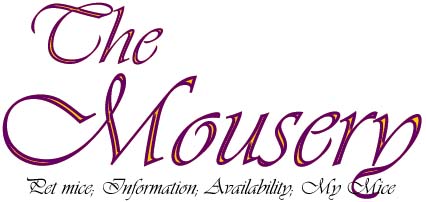 The Mousery - Pet Mice: Information; Availability; My Mice