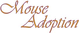 Mouse Adoption
