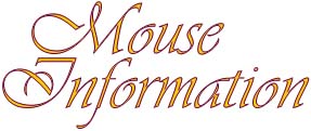 Mouse Information