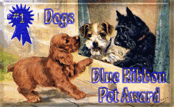Winner of the Blue Ribbon Award