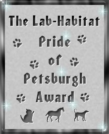 Pride of Petsburgh