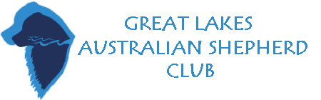 Great Lakes Australian Shepeherd Club