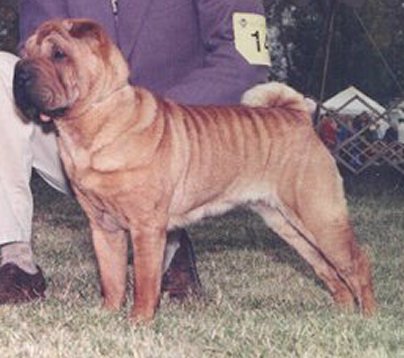 [ another pic of lucy ]