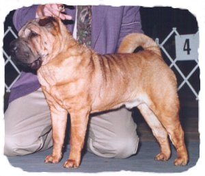 [ pic of mugsy ]