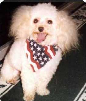 photo of Dudley